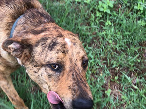 Meet your Posher, Jon